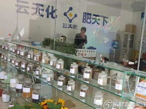 云天化測土配方肥 加盟代理前景與網絡技術服務解析
